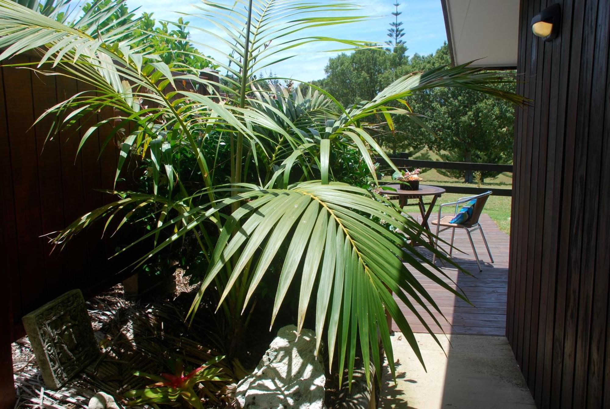 Ferienwohnung Coast Norfolk Island Burnt Pine Exterior foto