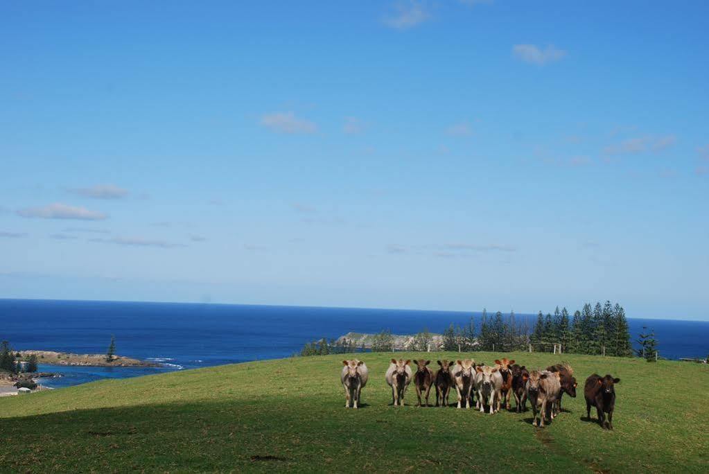 Ferienwohnung Coast Norfolk Island Burnt Pine Exterior foto